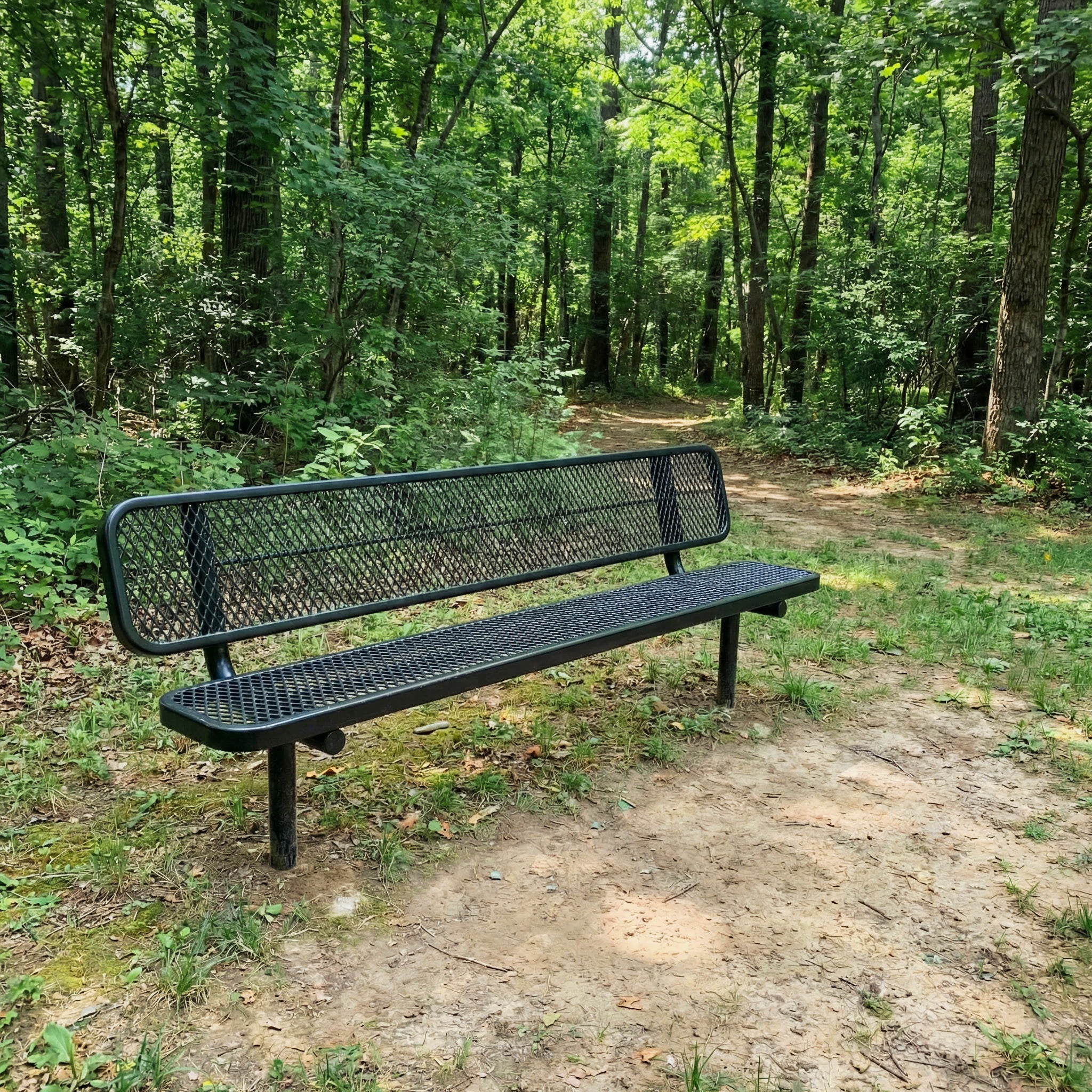 Metal bench in a forest setting