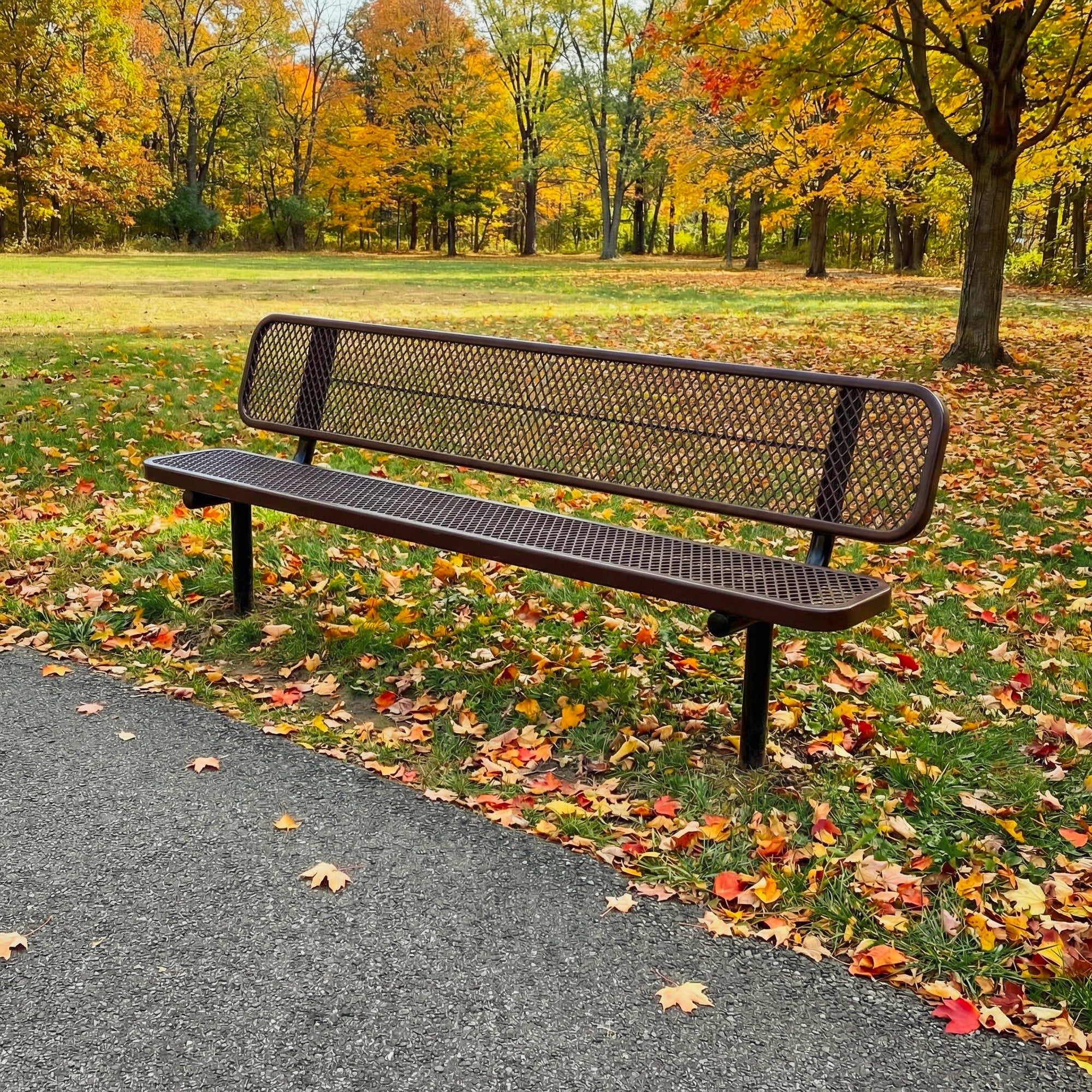 Metal bench in a park with autumn leaves and trees in the background